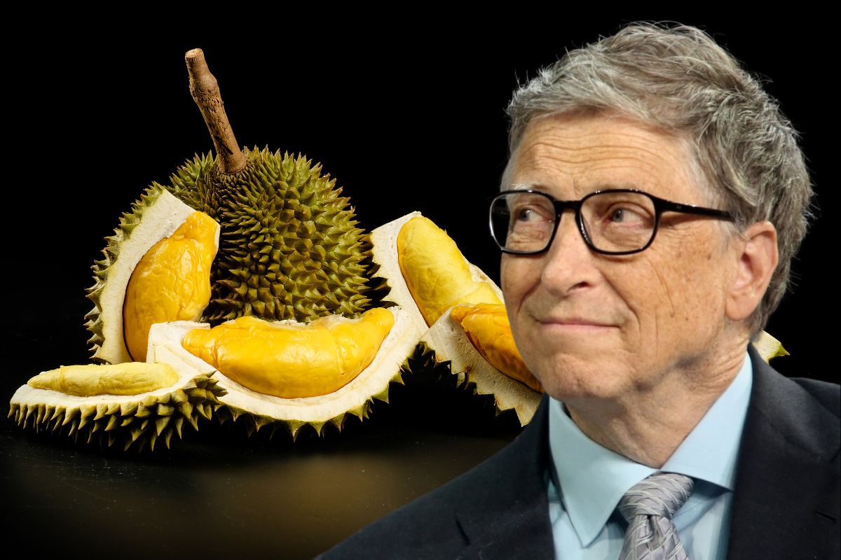 Chuyến thăm và khu ẩm thực Newton