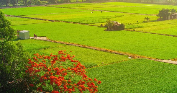 Những trải nghiệm khác khi đến địa điểm