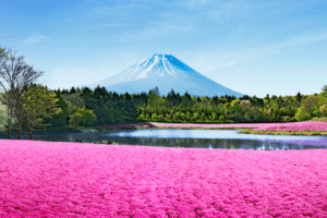 Vị trí địa lý: Tỉnh Yamanashi, Nhật Bản