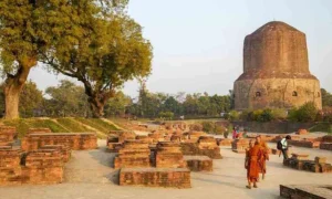 Hành Trình Tìm Kiếm Giác Ngộ của Đức Phật